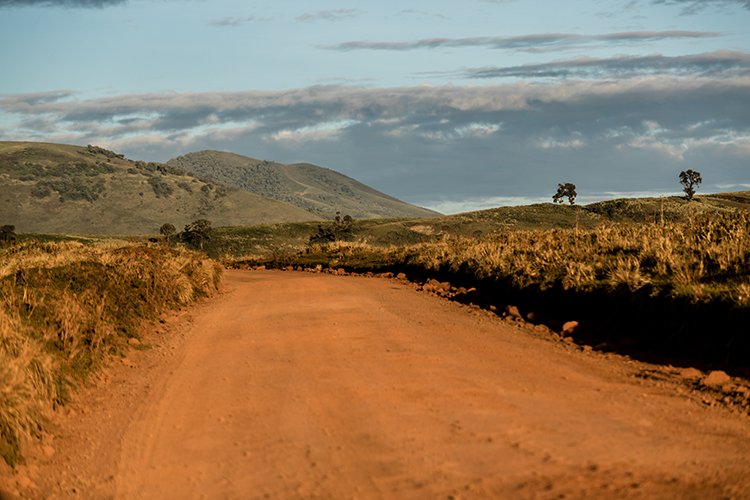 TZA ARU Ngorongoro 2016DEC26 Crater 002